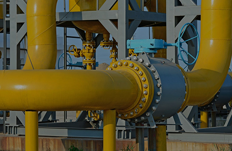 Vertragsbonitätszertifikat AAA [2014-2015]