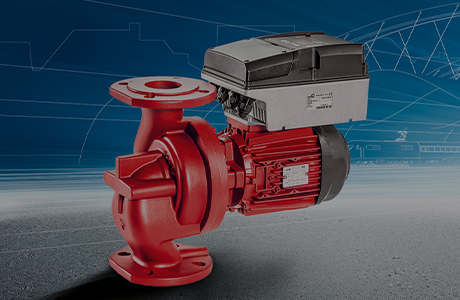 Bonitätszertifikat [AAA-Niveau]